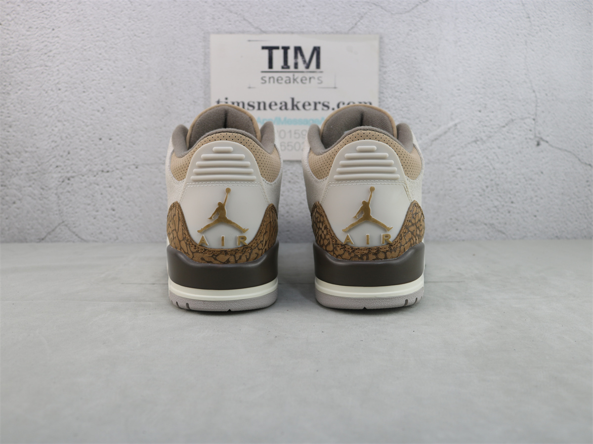 Air Jordan 3 Retro Palomino CT8532-102